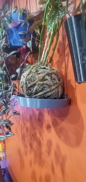 Đế Treo Tường Chậu Cây - Image 2