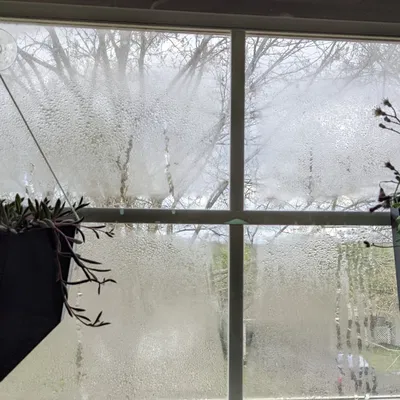 Chậu Treo Tường Pha Lê