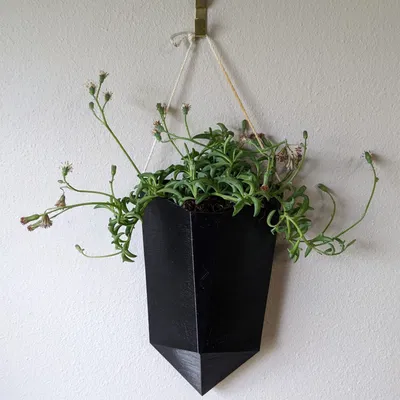 Chậu Treo Tường Pha Lê