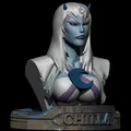 Chilla Lunatacs Thundercats Villains collection busts fanarts CG Pyro STL - Thumbnail 1