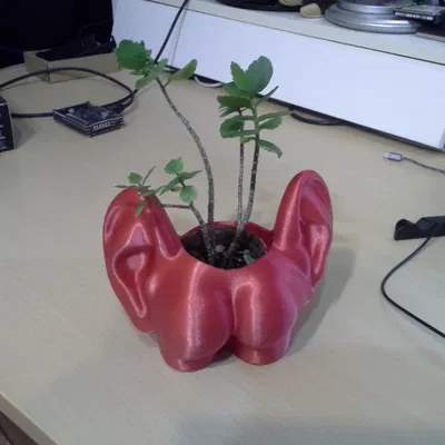 Chậu hoa Arsch mit Ohren - Chậu hoa hình mông có tai