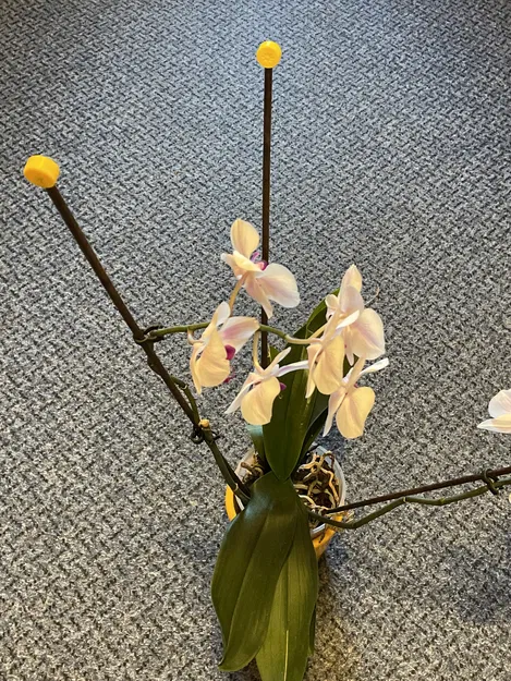 Phụ kiện trang trí và bảo vệ que cắm chậu hoa lan - Image 2