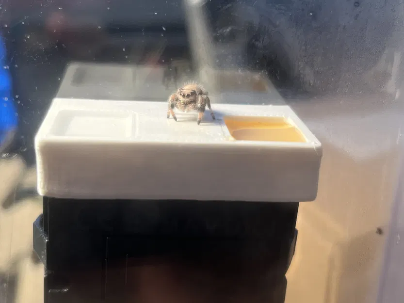 SpiderBar - Phụ kiện cấp nước và mật ong cho nhện nhảy - Image 1