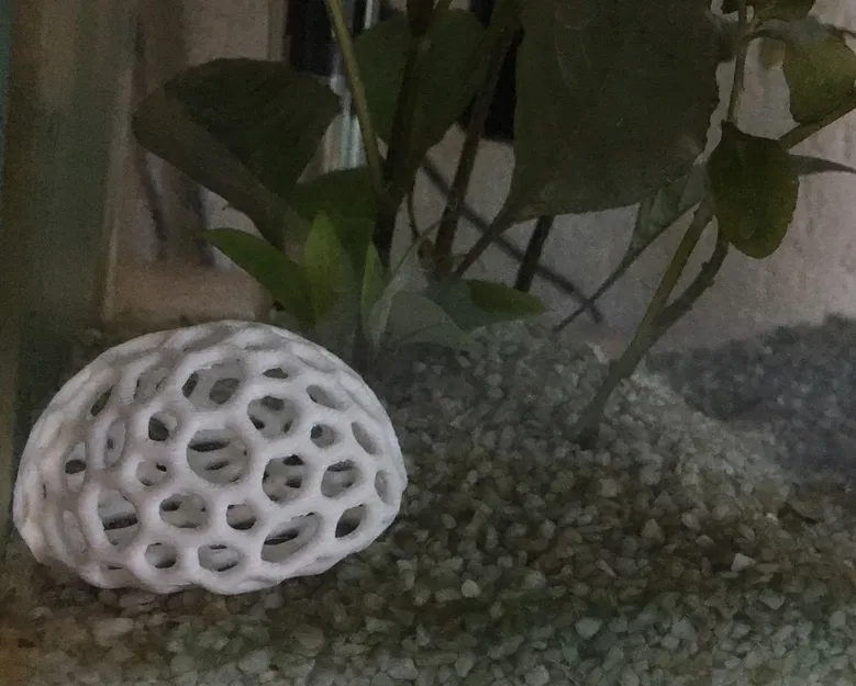 Nơi trú ẩn cho cá - Dễ, nhanh và nhỏ - Image 2