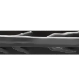 Giá Đỡ Kệ Thiết Kế Tạo Sinh