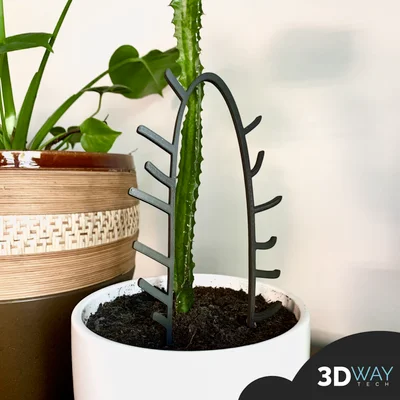 Giá đỡ cây xương rồng / cây
