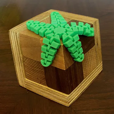 Sao Biển Dẻo Flexi Starfish