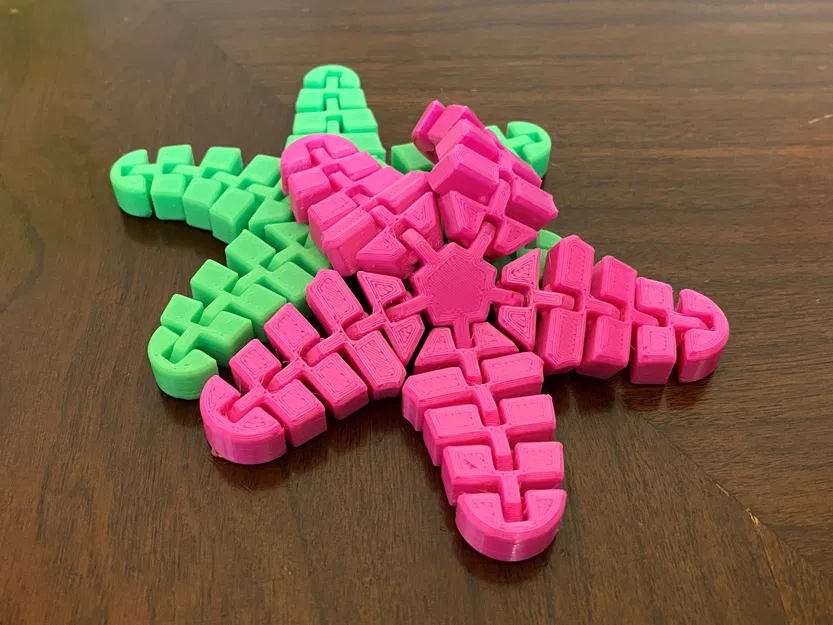 Sao Biển Dẻo Flexi Starfish - Image 3