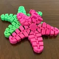 Sao Biển Dẻo Flexi Starfish - Thumbnail 3
