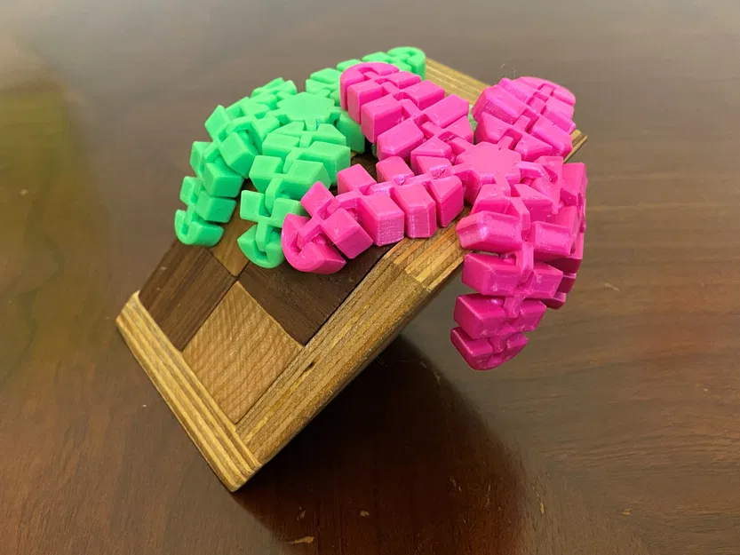 Sao Biển Dẻo Flexi Starfish - Image 4