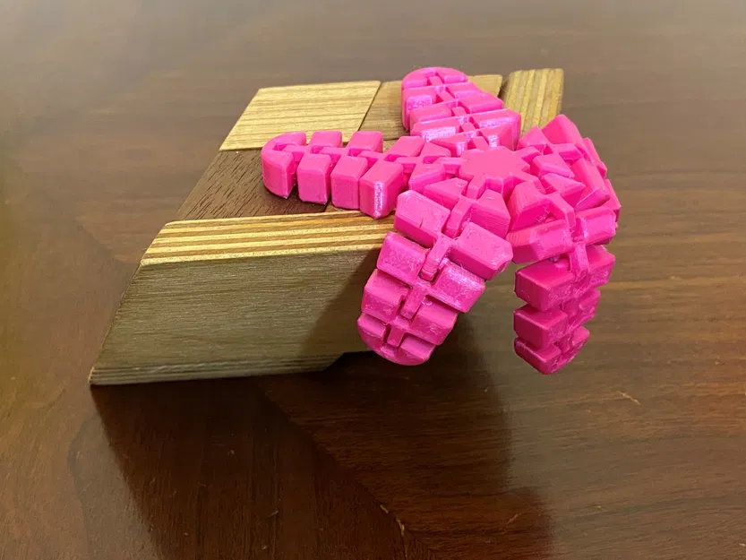 Sao Biển Dẻo Flexi Starfish - Image 5