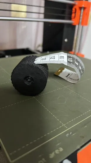 Vỏ thước dây - Image 2