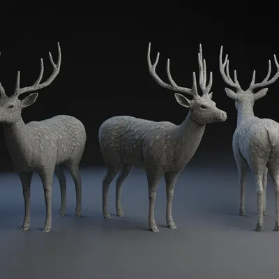 Mô hình Hươu đực / Nai sừng tấm