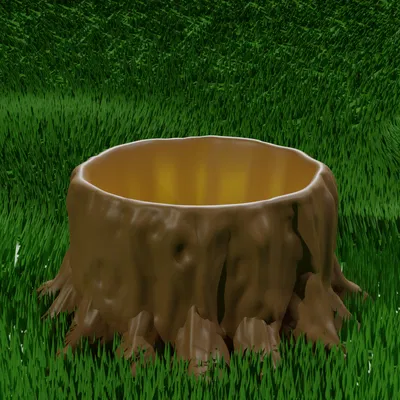 Chậu Cây Gốc Cây Mọng Nước