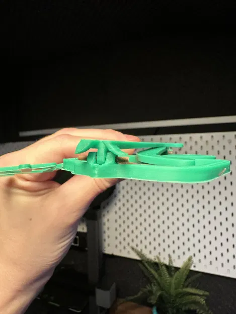 Kính Jiggly 2024 & 2023 - Image 4