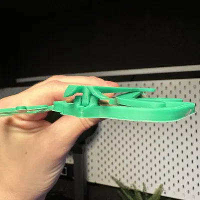 Kính Jiggly 2024 & 2023