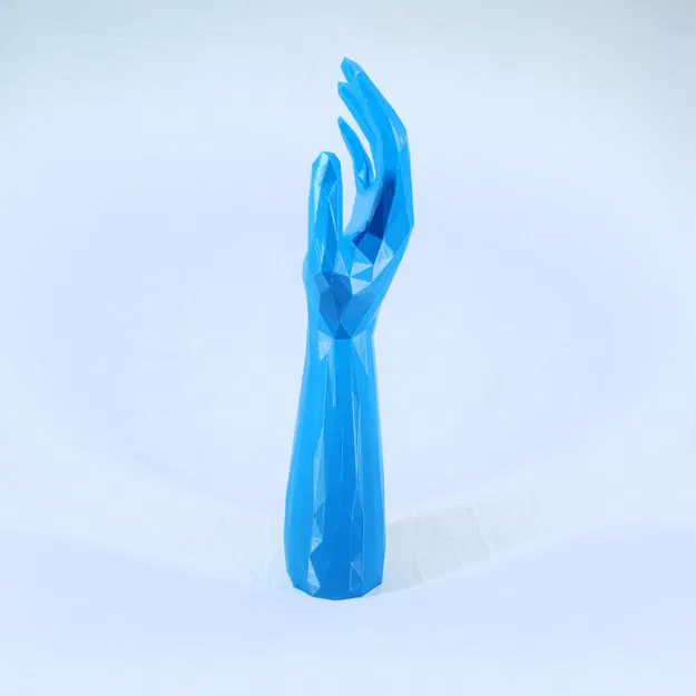 Cánh Tay Low Poly - Image 4