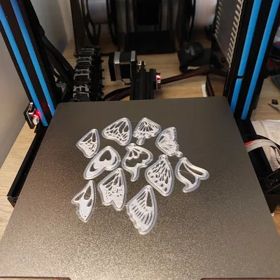 Bông tai Cánh Bướm