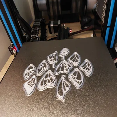 Bông tai Cánh Bướm