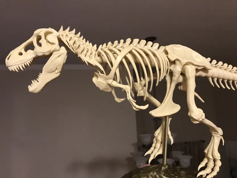 T-Rex Skeleton đã sửa và có thể in được - Image 1