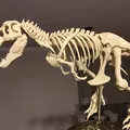 T-Rex Skeleton đã sửa và có thể in được - Thumbnail 1
