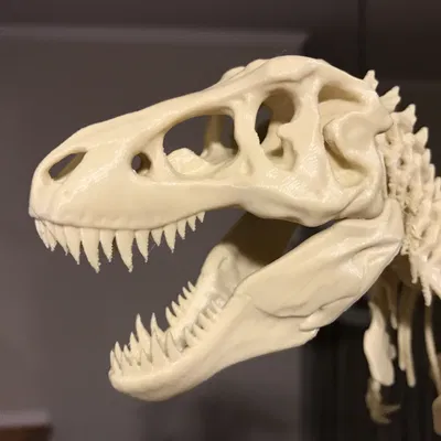 T-Rex Skeleton đã sửa và có thể in được