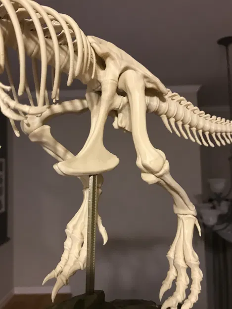 T-Rex Skeleton đã sửa và có thể in được - Image 3