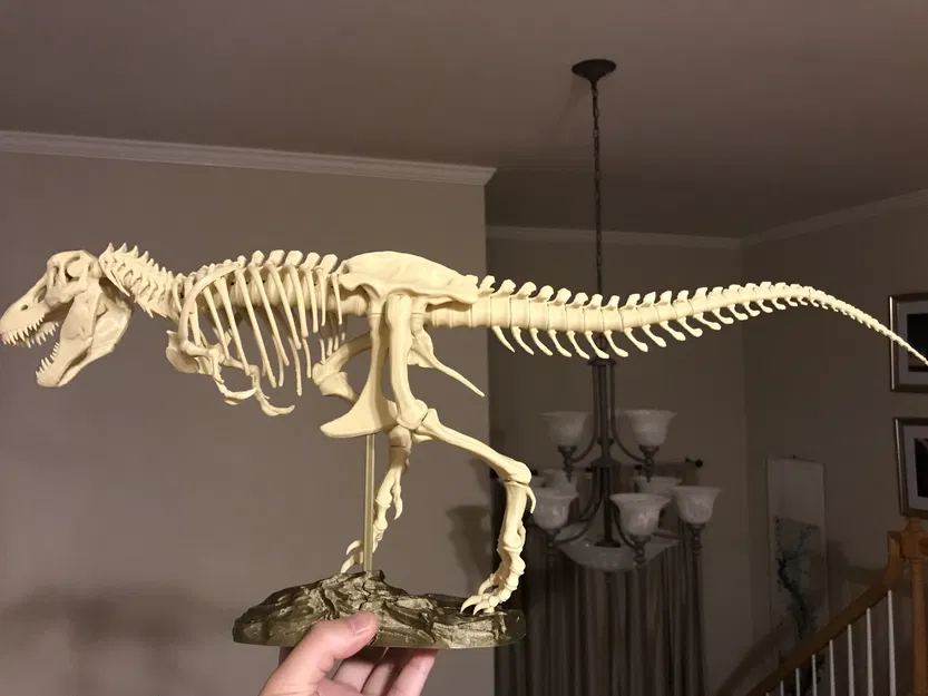 T-Rex Skeleton đã sửa và có thể in được - Image 4