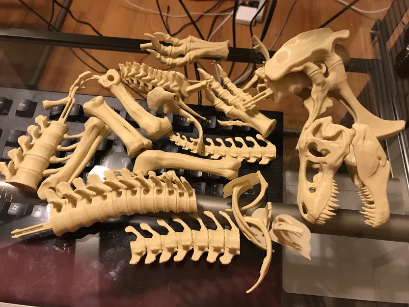 T-Rex Skeleton đã sửa và có thể in được - Image 5