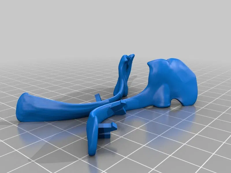 T-Rex Skeleton đã sửa và có thể in được - Image 11