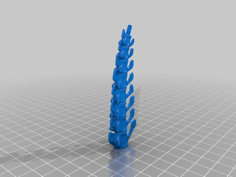 T-Rex Skeleton đã sửa và có thể in được - Image 12