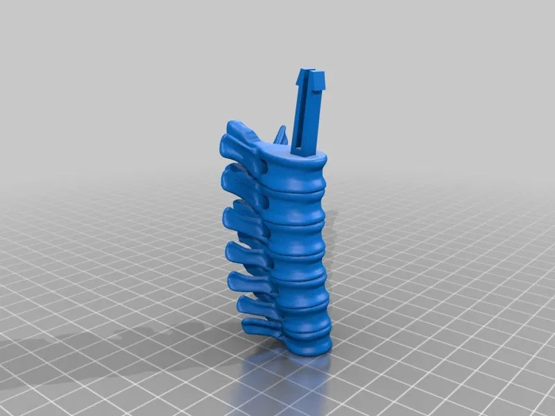 T-Rex Skeleton đã sửa và có thể in được - Image 15