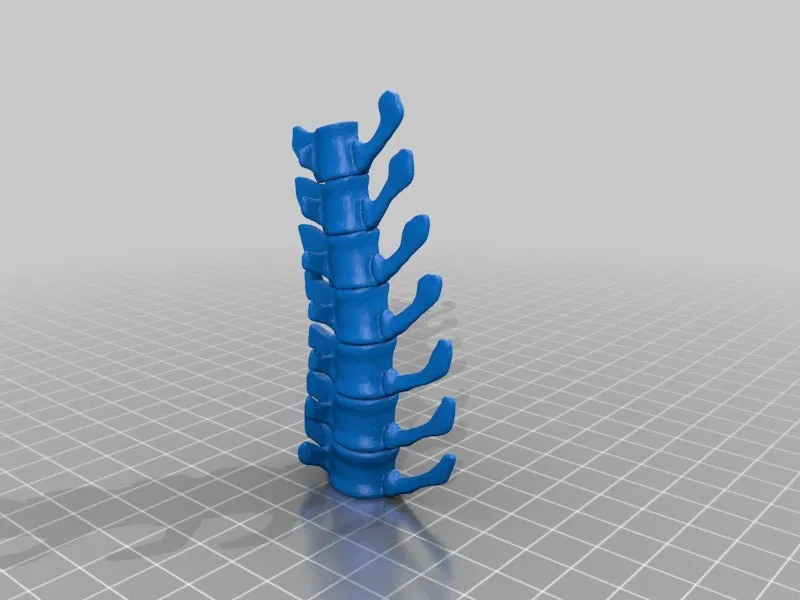 T-Rex Skeleton đã sửa và có thể in được - Image 18