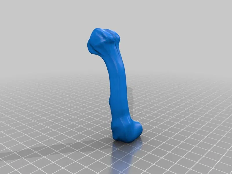 T-Rex Skeleton đã sửa và có thể in được - Image 36