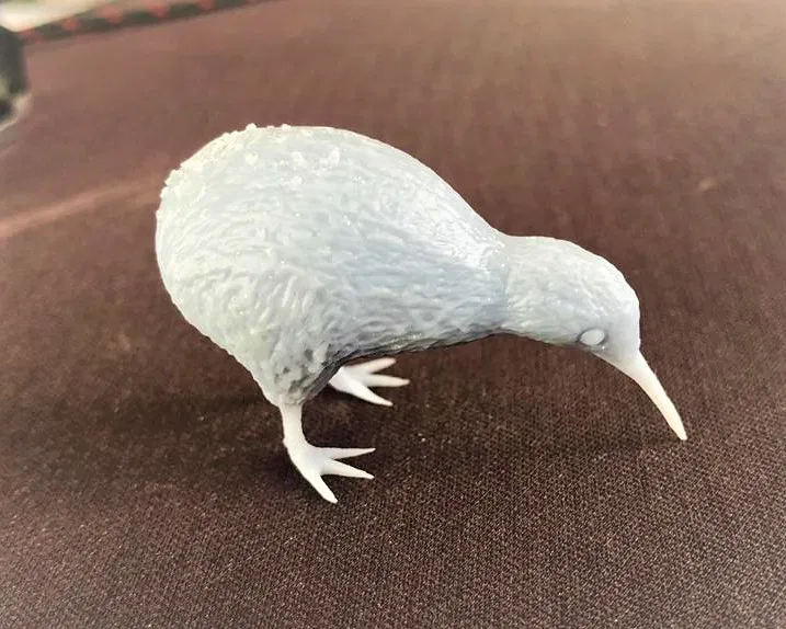 Chim Kiwi! - Image 1