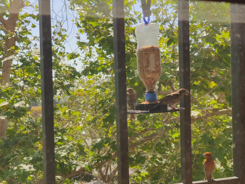 Khay Đựng Thức Ăn Cho Chim Từ Chai Soda PRUSAMENT - Image 8