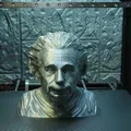 Albert Einstein Không Cần Hỗ Trợ - Thumbnail 4