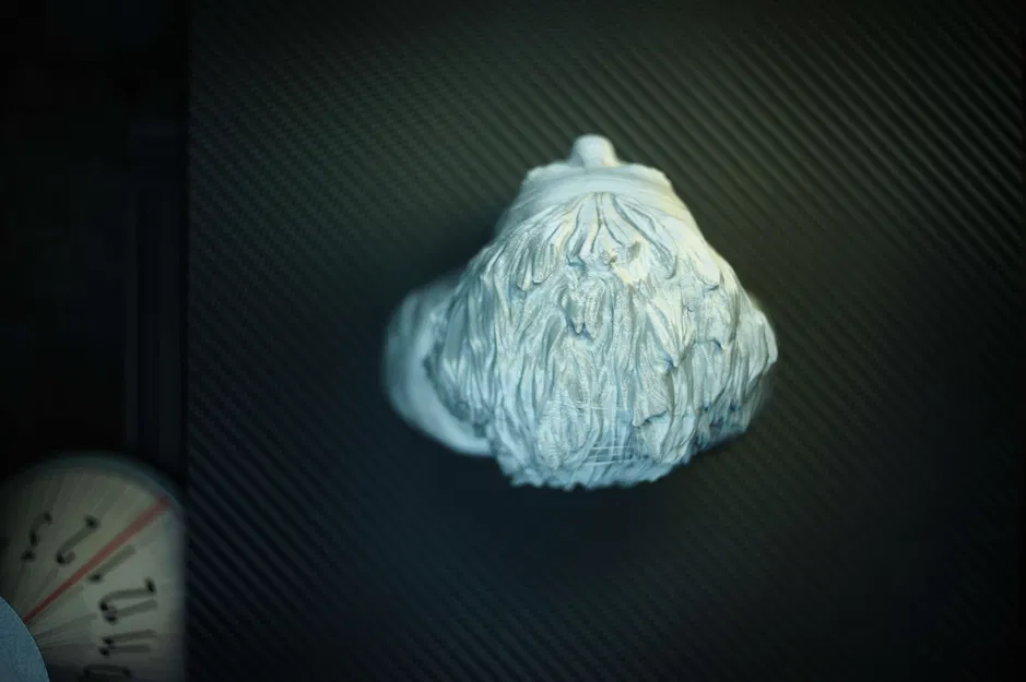 Albert Einstein Không Cần Hỗ Trợ - Image 6