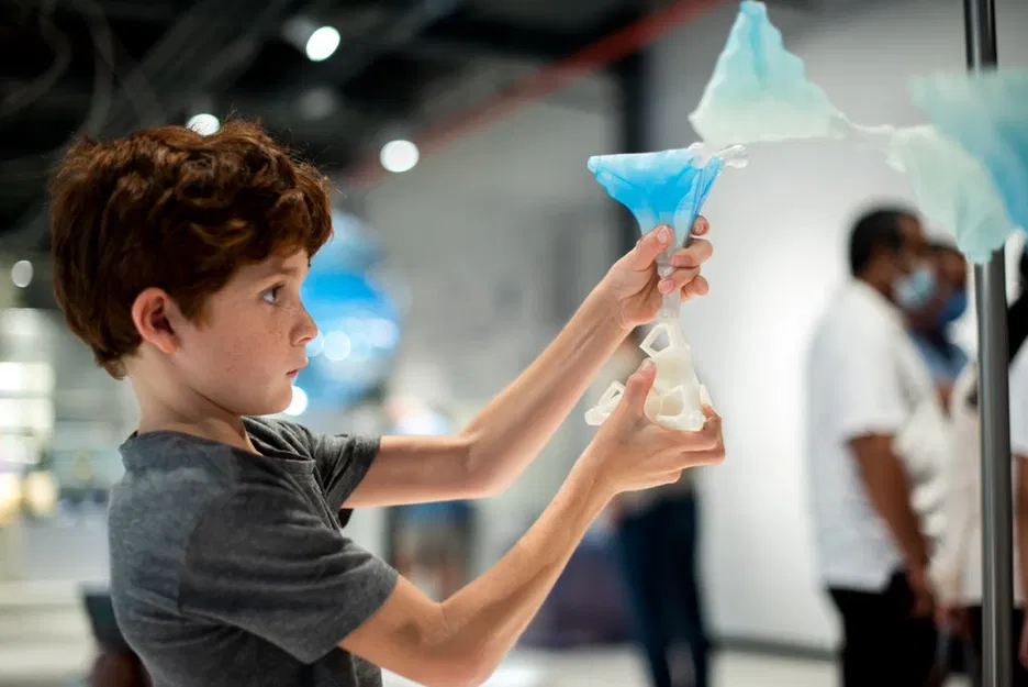 KHỚP NỐI cho BÔNG TUYẾT TRONG SA MẠC /EXPO DUBAI - Image 2