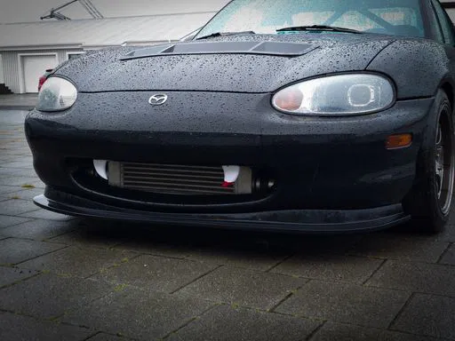 Răng Halloween cho xe hơi - Image 1