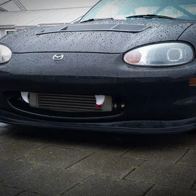 Răng Halloween cho xe hơi