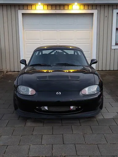 Răng Halloween cho xe hơi - Image 2