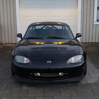 Răng Halloween cho xe hơi