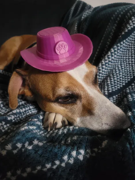 Mũ Cao Bồi Cho Chó Con - Image 1