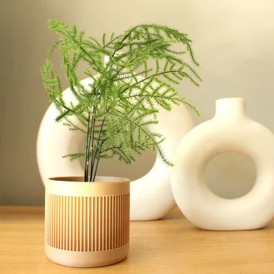 Chậu Cây Hiện Đại