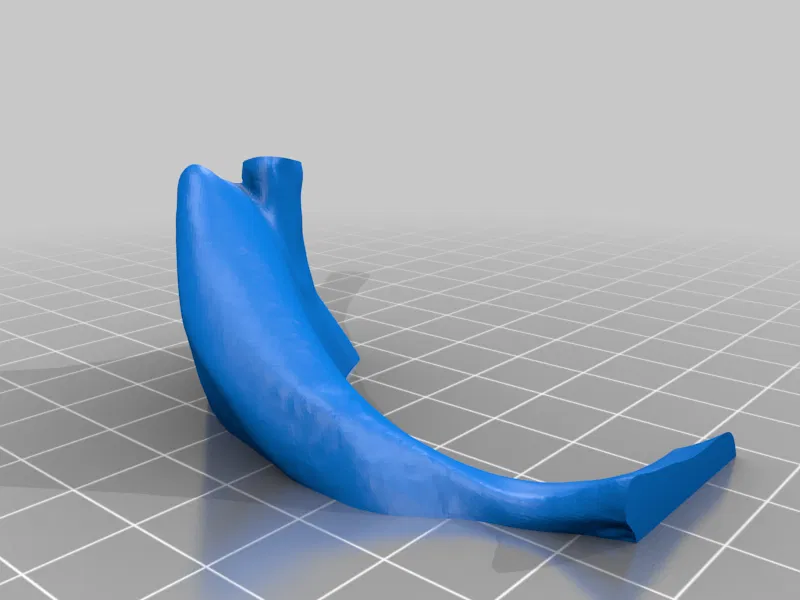 Mặt nạ Đầu Lâu Mèo - Image 16