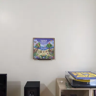 Giá treo tường đựng đĩa than không cần ốc vít