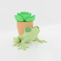 Chậu Cây Hình Ếch - Thumbnail 1