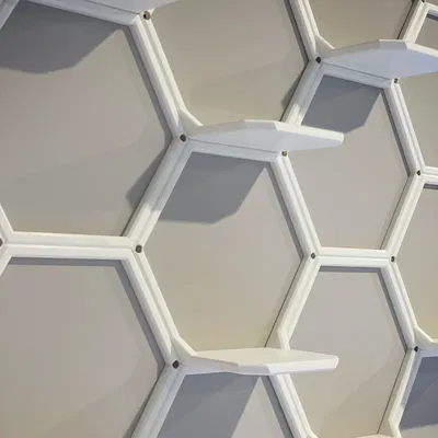 Kệ Trưng Bày Gắn Tường (Không Cần Hỗ Trợ)