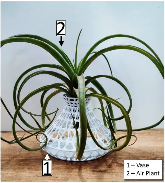 Chân đế / Bình cắm hoa cho cây không khí - Image 1